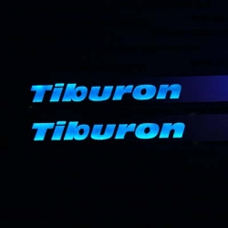 накладки на пороги с подсветкой Hyundai Tiburon,светящиеся накладки на пороги Hyundai Tiburon,светодиодные накладки на пороги Hyundai Tiburon,светодиодные накладки на пороги авто Hyundai Tiburon,накладки на пороги Hyundai Tiburon,декоративные накладки Hyu