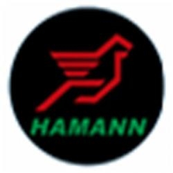 Подсветка логотипа в двери Hamann,подсветка дверей с логотипом Hamann,Штатная подсветка Hamann,подсветка дверей с логотипом авто Hamann,светодиодная подсветка логотипа Hamann в двери,Лазерные проекторы Hamann в двери,Лазерная подсветка Hamann