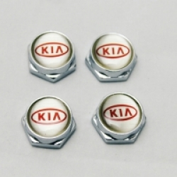 болты номерного знака с логотипом KIA,Декоративный болт для номерного знака с логотипом KIA,Болты для крепления госномера KIA,декоративных болтов на номерные знаки логотипом KIA купить,заказать,доставка
