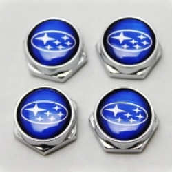 болты номерного знака с логотипом Subaru,Декоративный болт для номерного знака с логотипом Subaru,Болты для крепления госномера Subaru,декоративных болтов на номерные знаки логотипом Subaru купить,заказать,доставка