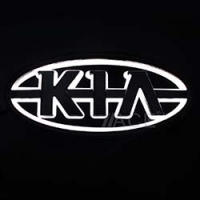 5D светящийся логотип KIA