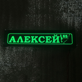 Табличка светящаяся с именем Алексей 65 регион,Светящаяся табличка в стиле госномера с цифрами региона,Именная светящаяся табличка Алексей,Табличка госномер на стекло,табличка номер на стекло,табличка с номером, табличка с именем Алексей,светящаяся таблич